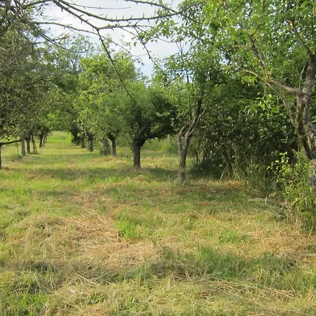 Csaford * Zalaszentgrót